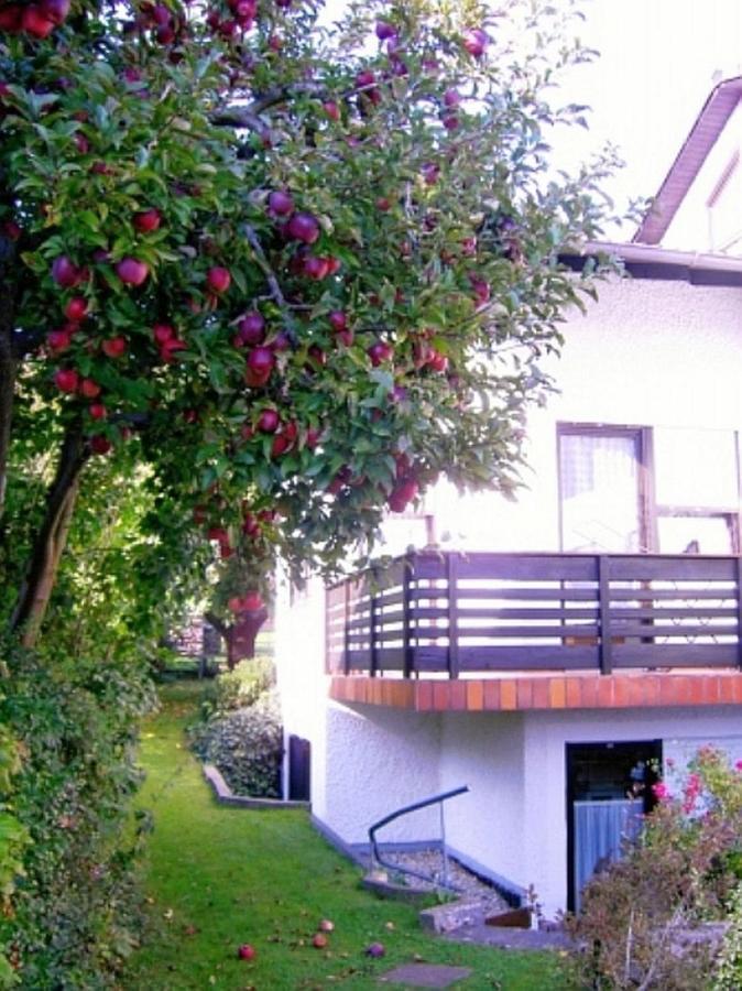 בילנגריס Ferienwohnung Keckl מראה חיצוני תמונה